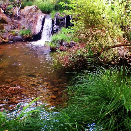 Space, Serenity And Luxury In The Green Heart Of Portugal