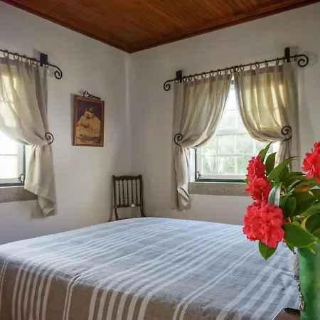 Space, Serenity And Luxury In The Green Heart Of Portugal Holiday home *