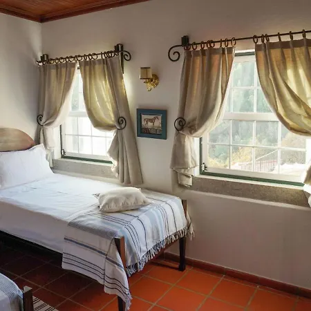 Space, Serenity And Luxury In The Green Heart Of Portugal Holiday home *